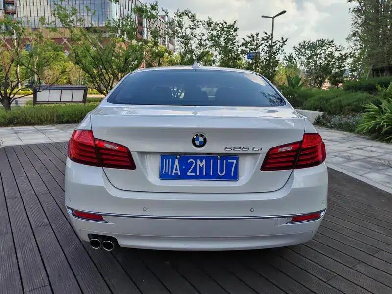 2014 BMW 5 Series 525Li Luxury Design Package — миниатюра 5