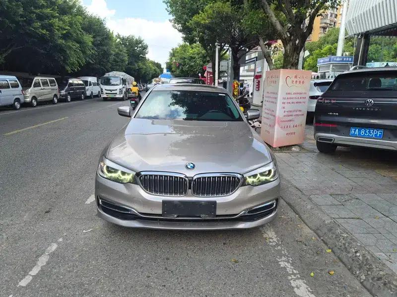 2020 BMW 5 Series 525Li Luxury Package — миниатюра 2