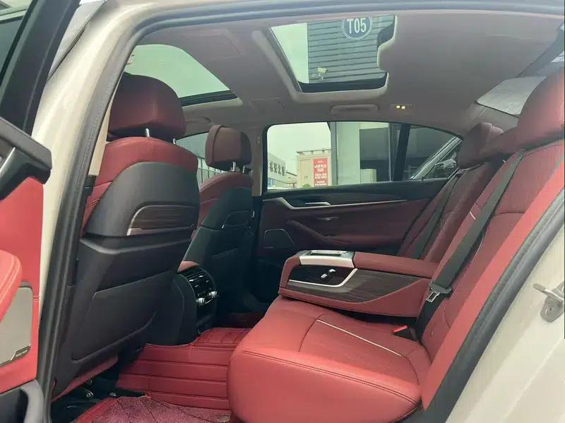 BMW 5 Series 2021 530Li Luxury Package — миниатюра 9