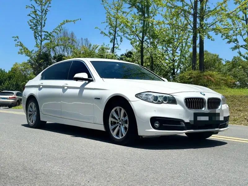 2014 BMW 5 Series 520Li Elegant Edition — миниатюра 3