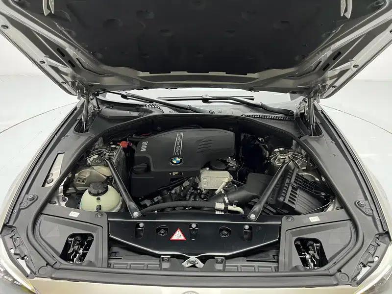 2017 BMW 5 Series 525Li Luxury Design Package — миниатюра 10