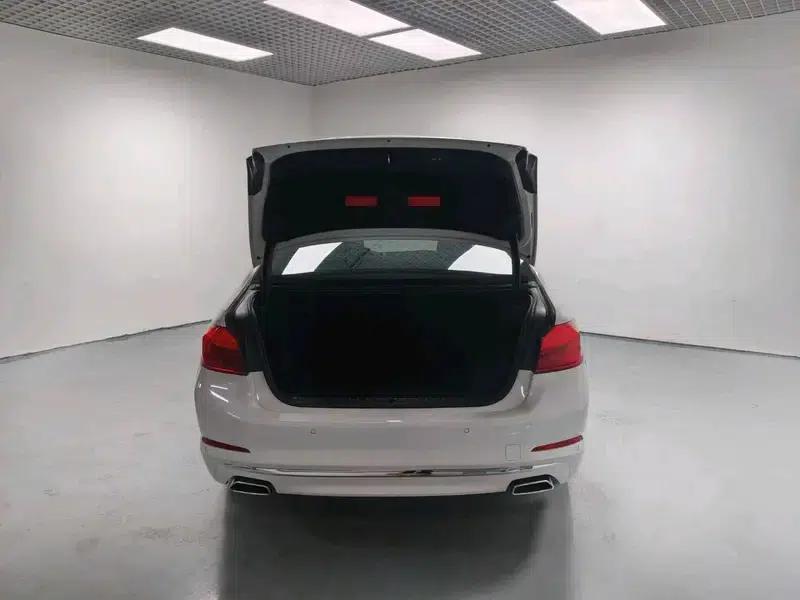 BMW 5 Series 2020 530Li Luxury Package — миниатюра 20