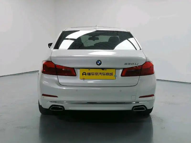 BMW 5 Series 2020 530Li Luxury Package — миниатюра 6