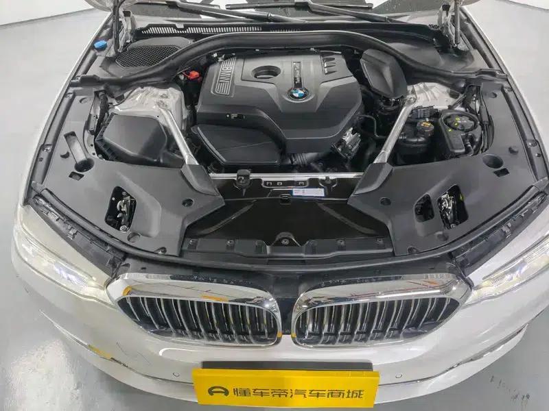BMW 5 Series 2020 530Li Luxury Package — миниатюра 10