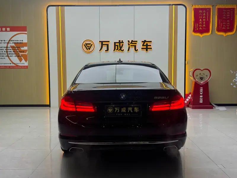 2020 BMW 5 Series 525Li Luxury Package — миниатюра 5