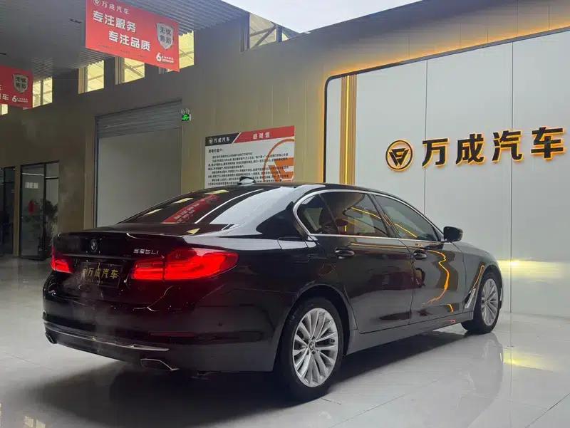 2020 BMW 5 Series 525Li Luxury Package — миниатюра 6