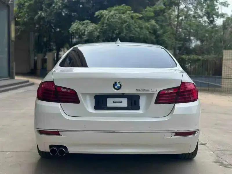 2017 BMW 5 Series 525Li Luxury Design Package — миниатюра 5