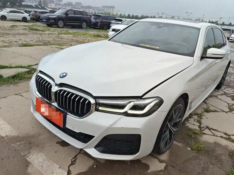 2021 BMW 5 Series Facelift 530Li Luxury M Sport Package — миниатюра 6