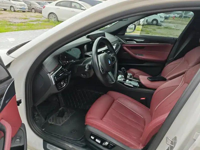 2021 BMW 5 Series Facelift 530Li Luxury M Sport Package — миниатюра 10