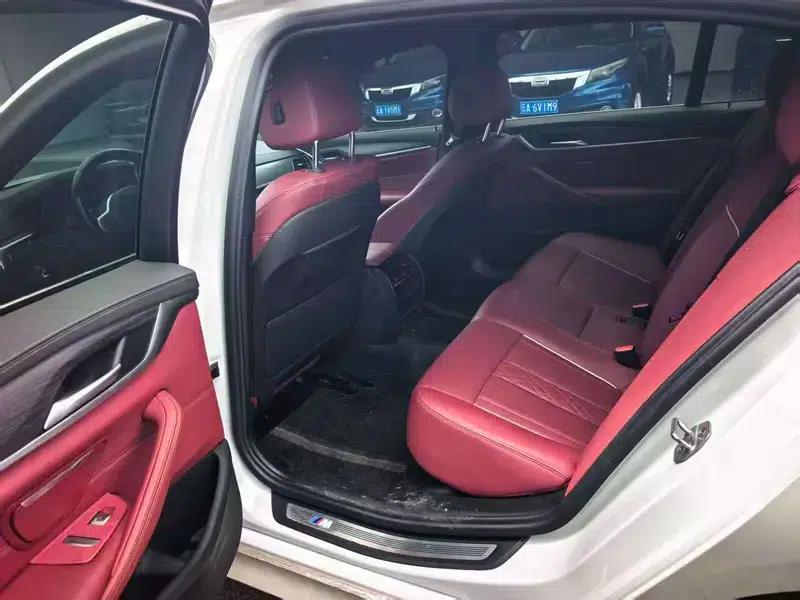 2021 BMW 5 Series 530Li Leading Edition M Sport Package — миниатюра 9