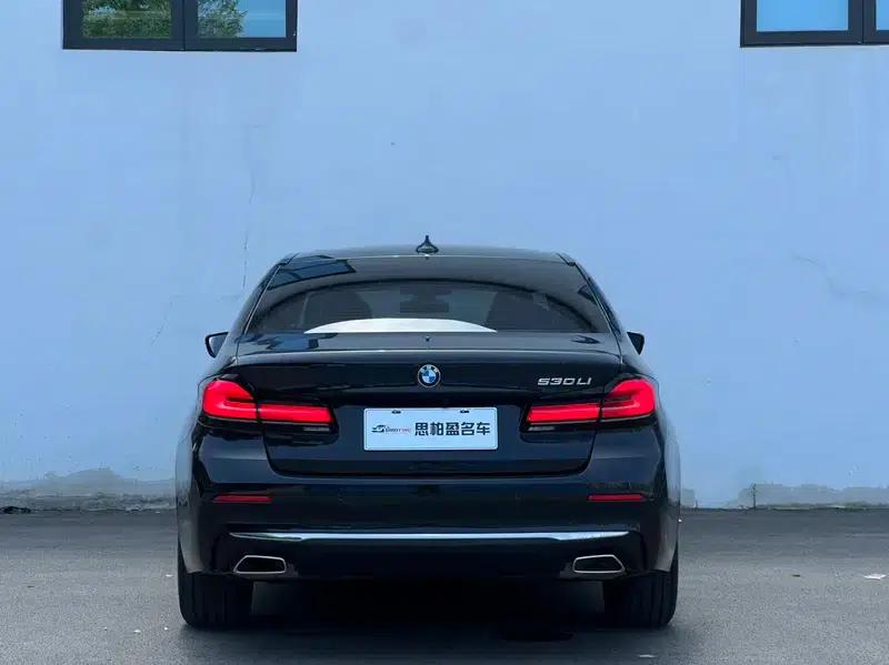 2022 BMW 5 Series 530Li Leading Luxury Package — миниатюра 5