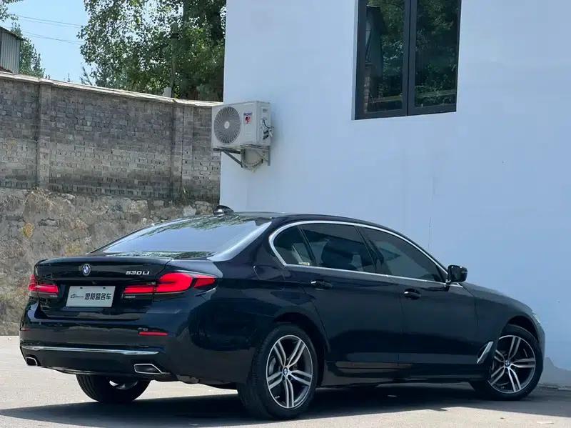 2022 BMW 5 Series 530Li Leading Luxury Package — миниатюра 6