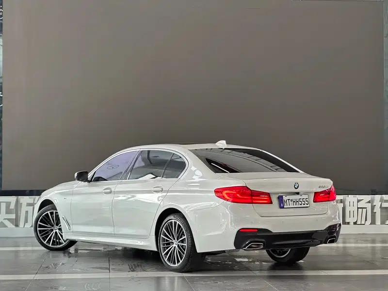 2020 BMW 5 Series 530Li Leading Edition M Sport Package — миниатюра 4