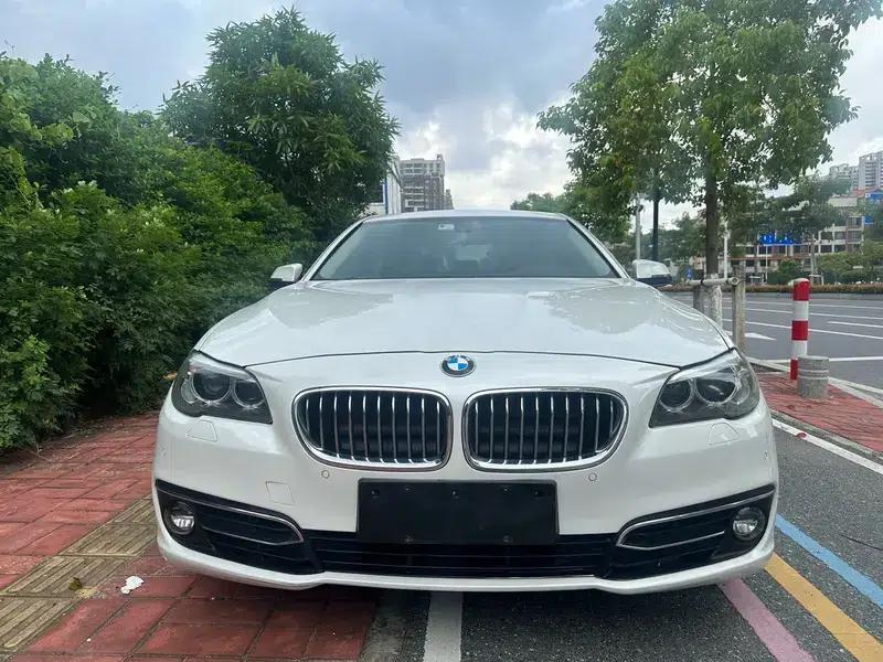 2017 BMW 5 Series 525Li Luxury Design Package — миниатюра 2