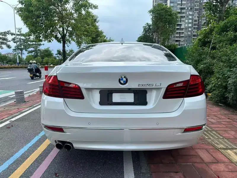 2017 BMW 5 Series 525Li Luxury Design Package — миниатюра 4