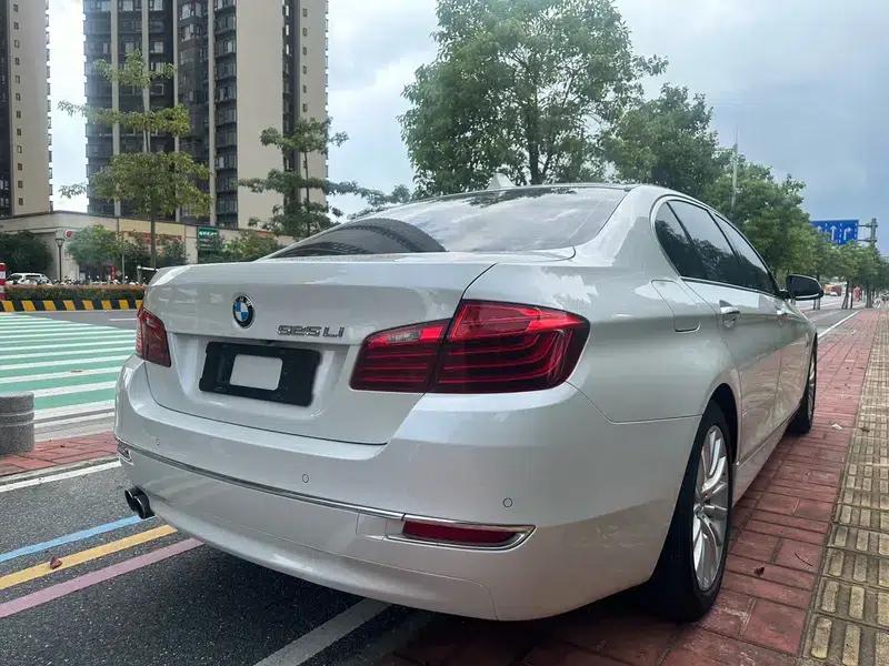 2017 BMW 5 Series 525Li Luxury Design Package — миниатюра 5
