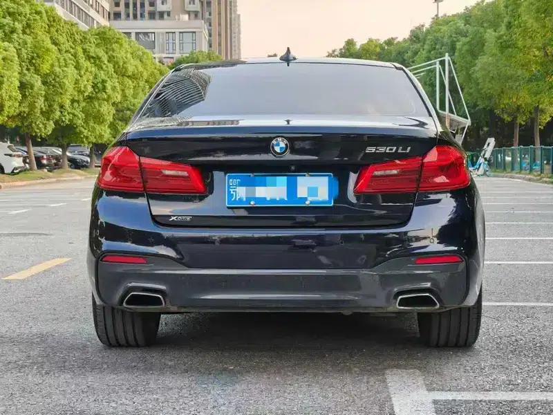 2020 BMW 5 Series 530Li Leading Edition M Sport Package — миниатюра 5