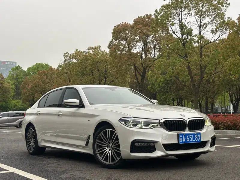 2018 BMW 5 Series 530Li Luxury M Sport Package — миниатюра 3