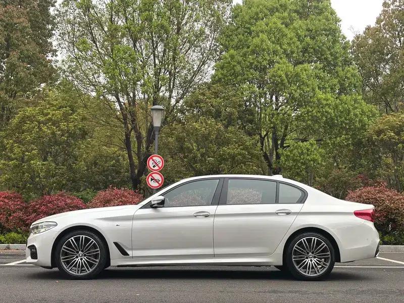 2018 BMW 5 Series 530Li Luxury M Sport Package — миниатюра 4