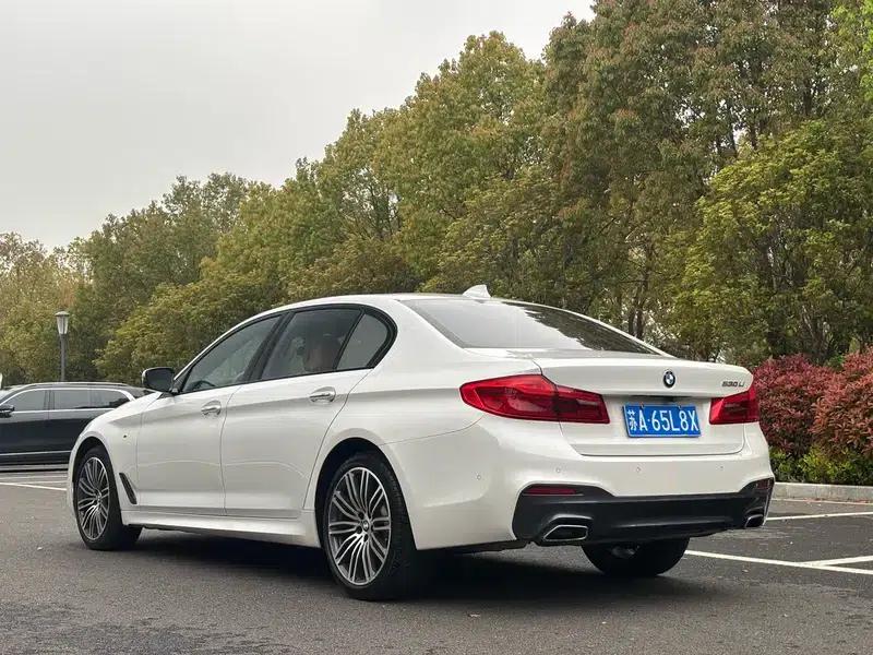 2018 BMW 5 Series 530Li Luxury M Sport Package — миниатюра 5
