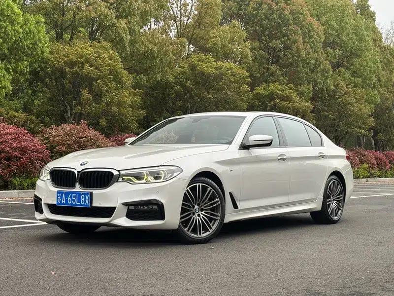 2018 BMW 5 Series 530Li Luxury M Sport Package — миниатюра 6