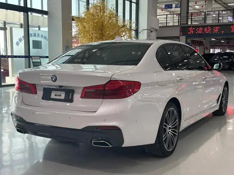 2018 BMW 5 Series Facelift 530Li xDrive M Sport Package — миниатюра 6