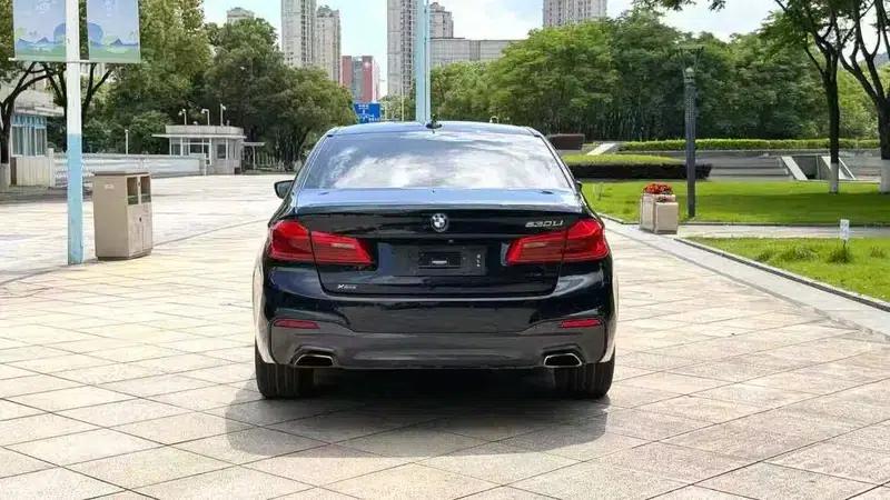 2020 BMW 5 Series 530Li Leading Edition M Sport Package — миниатюра 5