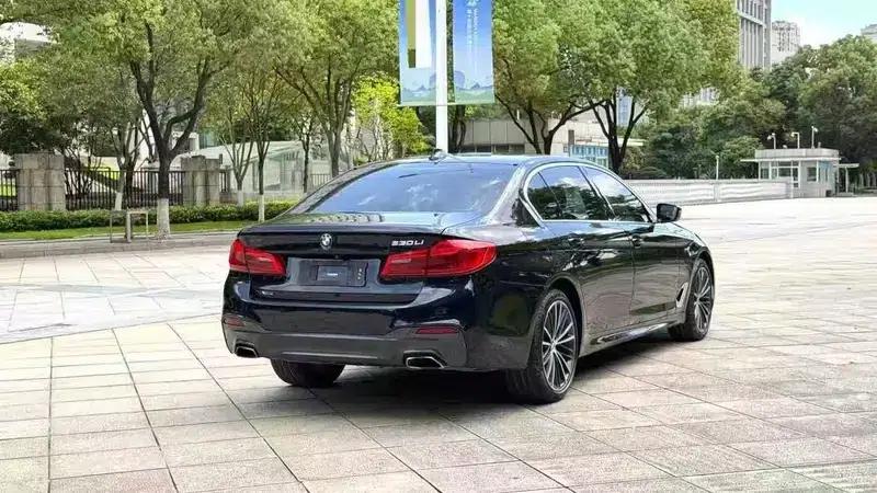 2020 BMW 5 Series 530Li Leading Edition M Sport Package — миниатюра 6