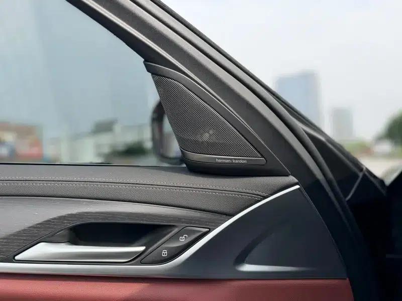 2023 BMW 5 Series Facelift 530Li Luxury M Sport Package — миниатюра 11