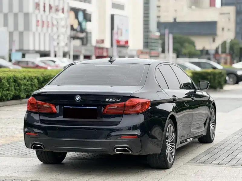 2018 BMW 5 Series Facelift 530Li Luxury M Sport Package — миниатюра 6