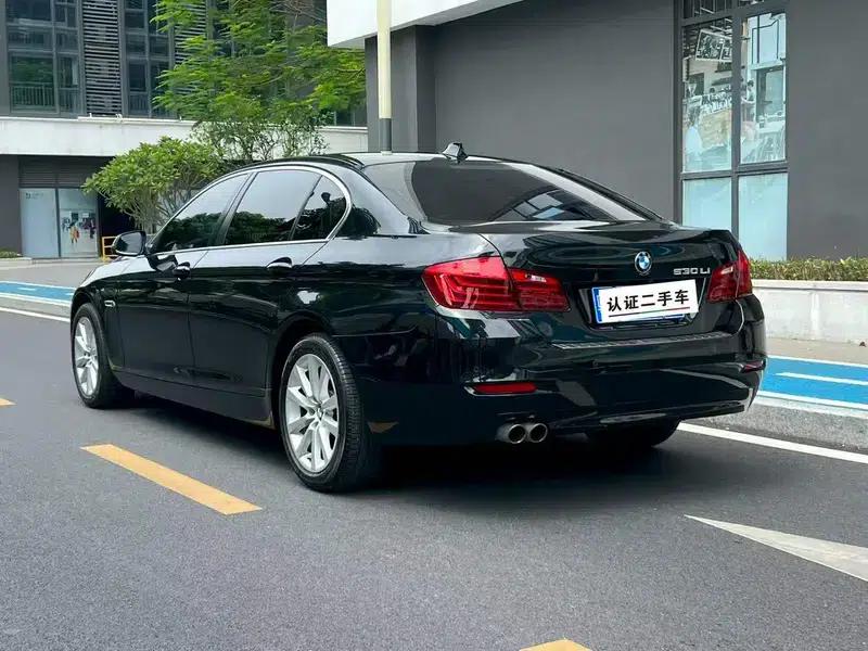 BMW 5 Series 2013 530Li Leading Edition — миниатюра 3