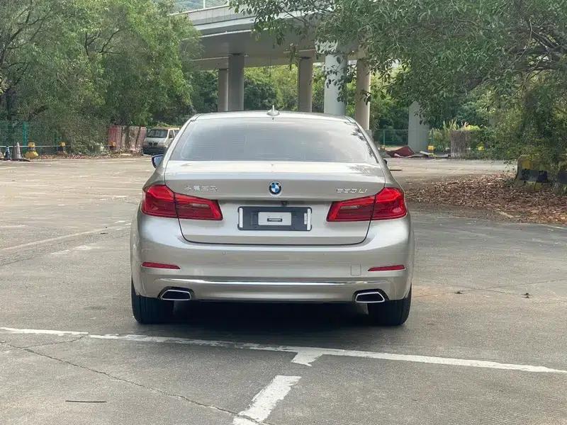 BMW 5 Series 2020 530Li Leading Luxury Package — миниатюра 6