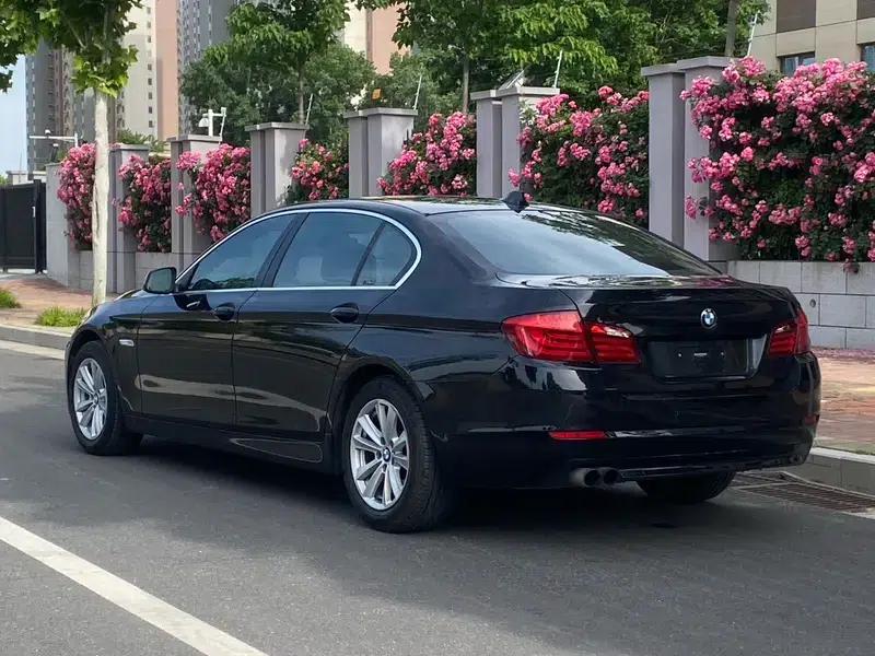 BMW 5 Series 2013 525Li Luxury — миниатюра 5