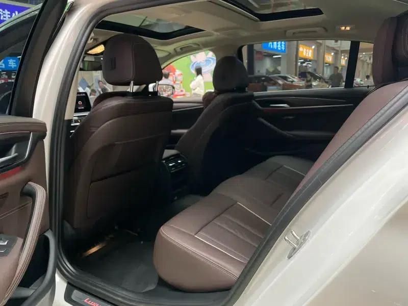 BMW 5 Series 2021 Facelift 530Li Leading Luxury Package — миниатюра 16