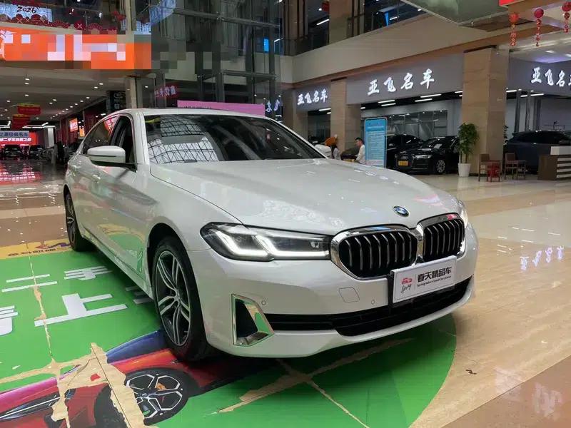 BMW 5 Series 2021 Facelift 530Li Leading Luxury Package — миниатюра 3