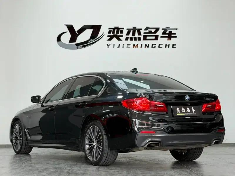 2020 BMW 5 Series 530Li Luxury M Sport Package — миниатюра 4