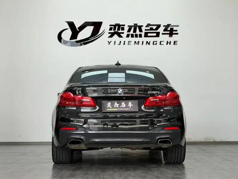 2020 BMW 5 Series 530Li Luxury M Sport Package — миниатюра 5