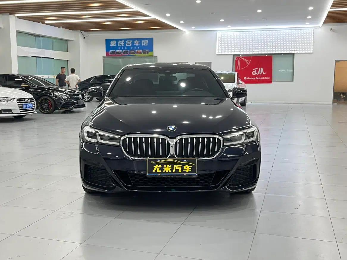 2021 BMW 5 Series Facelift 530Li Luxury M Sport Package — миниатюра 2