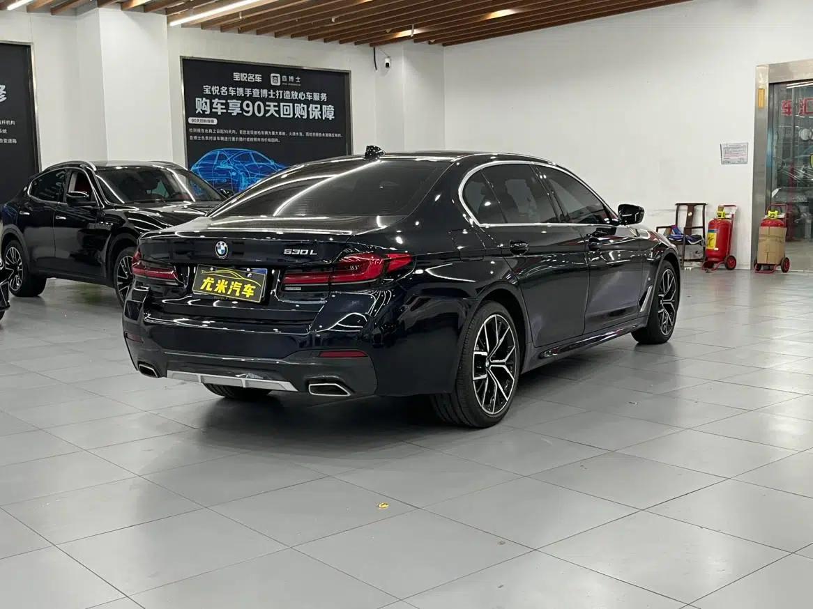 2021 BMW 5 Series Facelift 530Li Luxury M Sport Package — миниатюра 9
