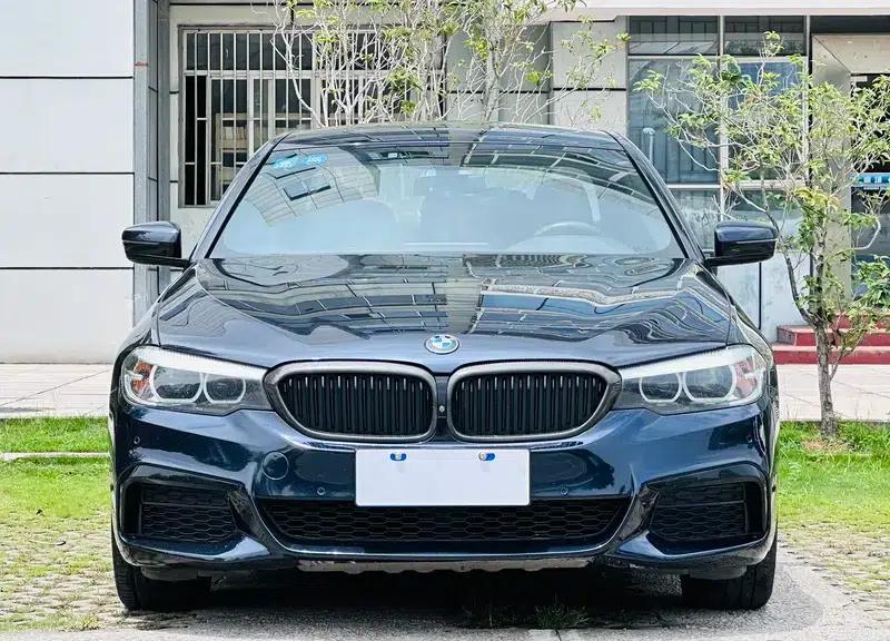2019 BMW 5 Series Facelift 530Li Leading Edition M Sport Package — миниатюра 2