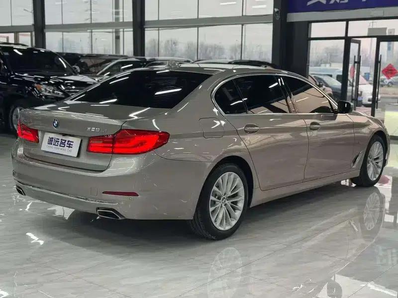 2020 BMW 5 Series 525Li Luxury Package — миниатюра 6
