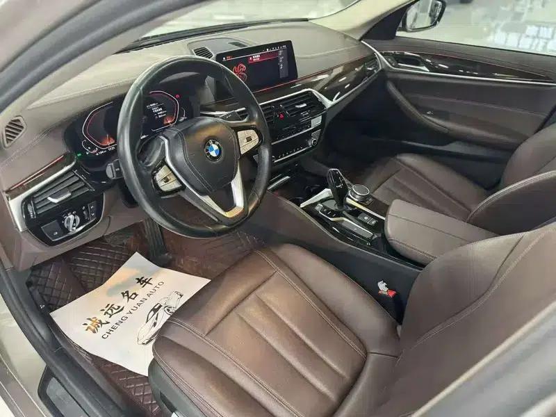 2020 BMW 5 Series 525Li Luxury Package — миниатюра 8
