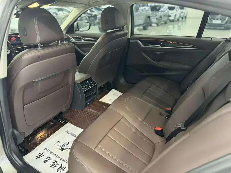 2020 BMW 5 Series 525Li Luxury Package — миниатюра 9