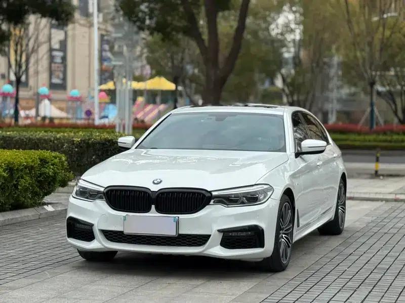 2019 BMW 5 Series 530Li Leading Edition M Sport Package — миниатюра 1