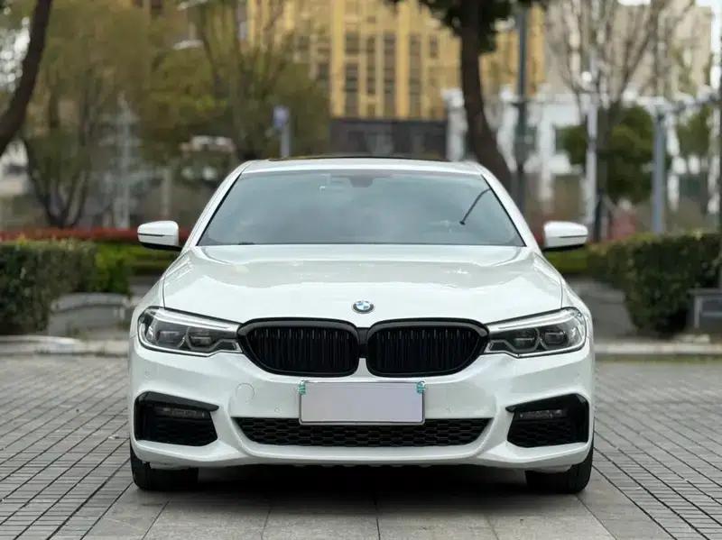 2019 BMW 5 Series 530Li Leading Edition M Sport Package — миниатюра 2