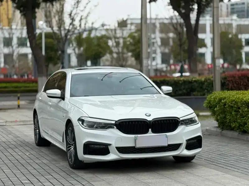2019 BMW 5 Series 530Li Leading Edition M Sport Package — миниатюра 3