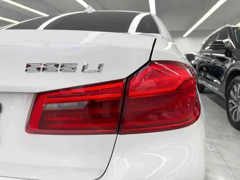 2018 BMW 5 Series 525Li Luxury Package — миниатюра 10