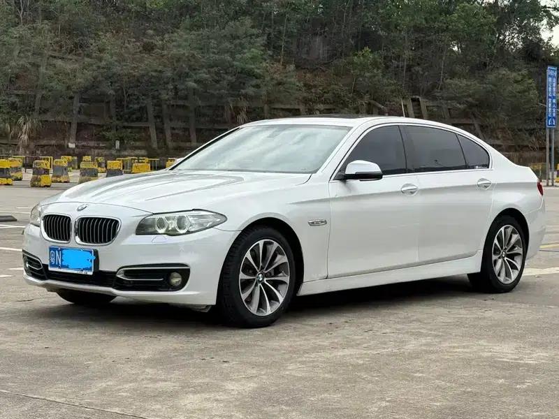 2014 BMW 5 Series 525Li Luxury Design Package — миниатюра 1