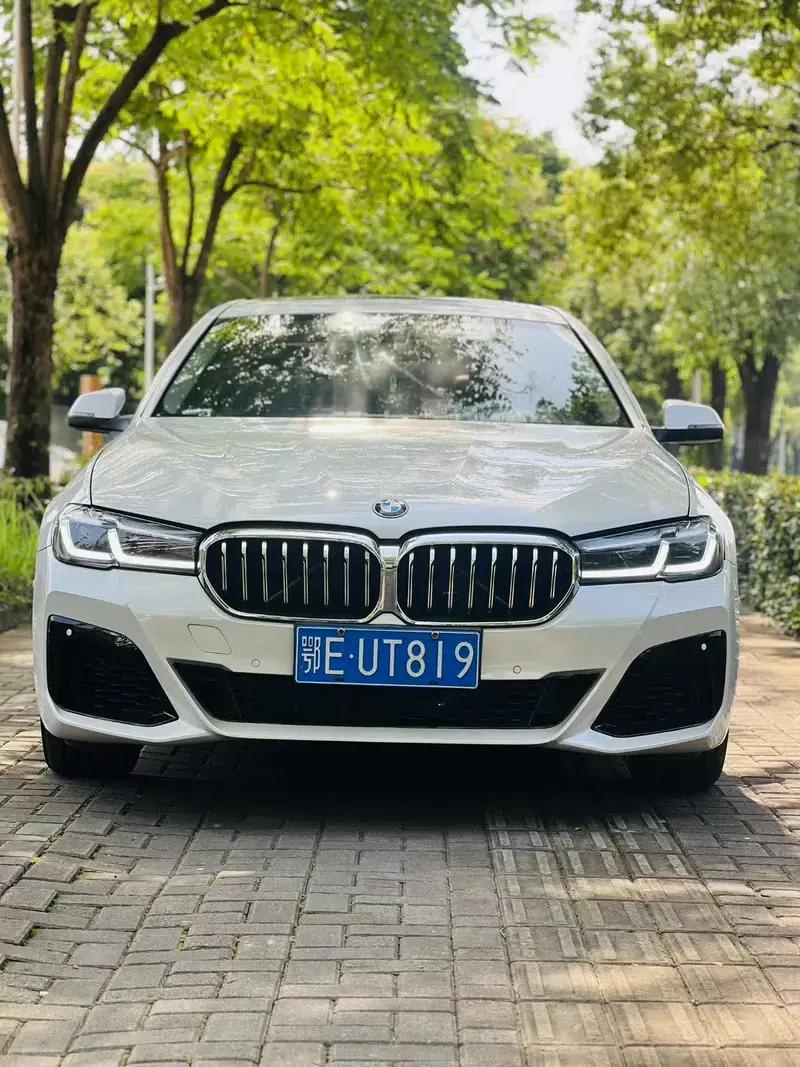 2014 BMW 5 Series 525Li Leading Edition — миниатюра 2