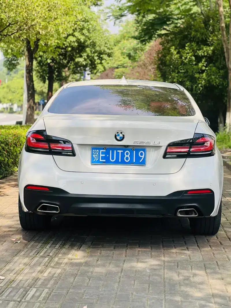 2014 BMW 5 Series 525Li Leading Edition — миниатюра 4
